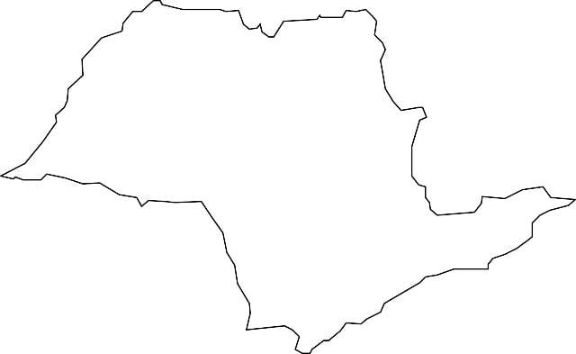 Kart av São Paulo vektor
